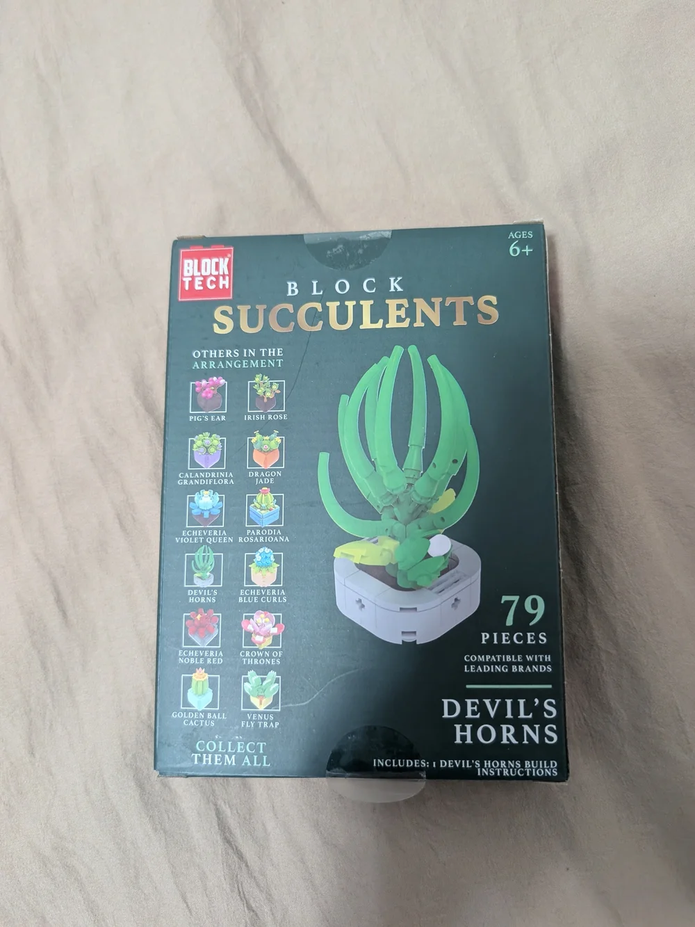 Succulent Block Kit (New)